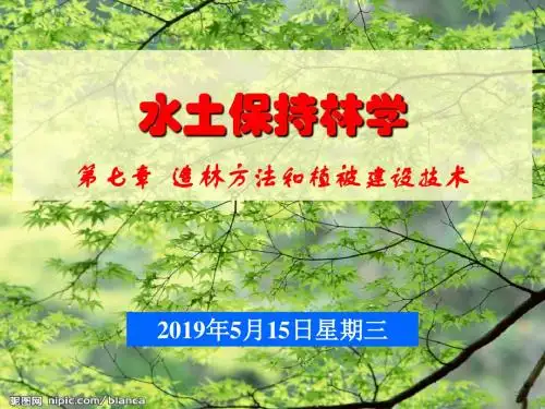 水土保持林学,第七章,造林技术