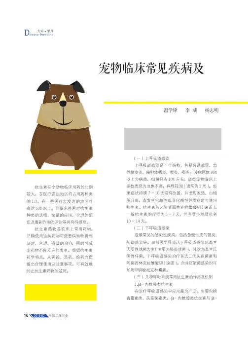 宠物临床常见疾病及抗生素的使用