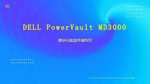 DELL PowerVault MD3000