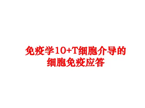 最新免疫学10+T细胞介导的细胞免疫应答