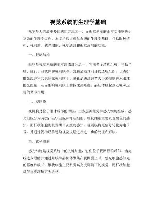 视觉系统的生理学基础