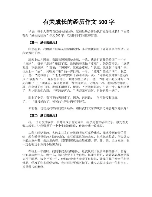 有关成长的经历作文500字