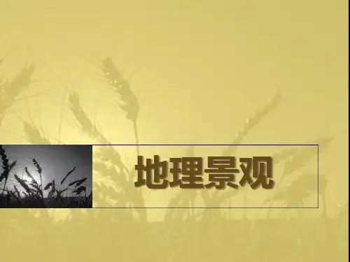 上海教育版六年级地理上册 (地理景观)新课件