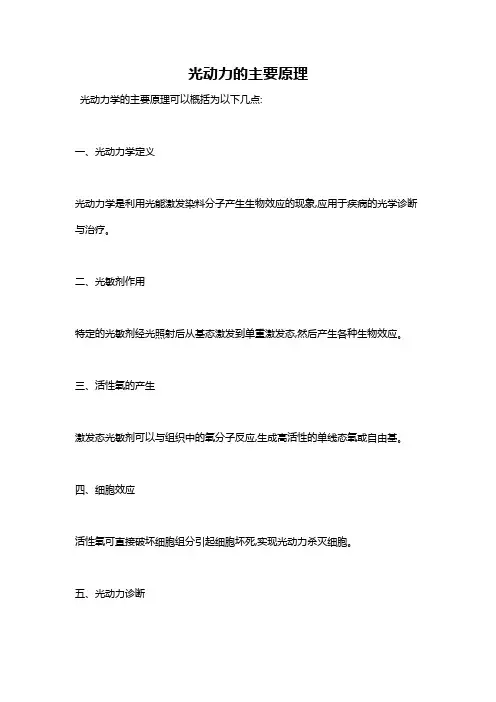 光动力的主要原理