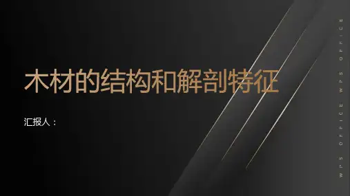 木材的结构和解剖特征