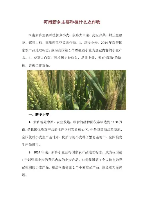河南新乡主要种植什么农作物