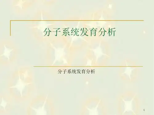 分子系统发育分析—2