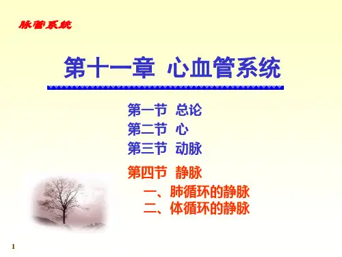 人体解剖学课件：心血管系统静脉