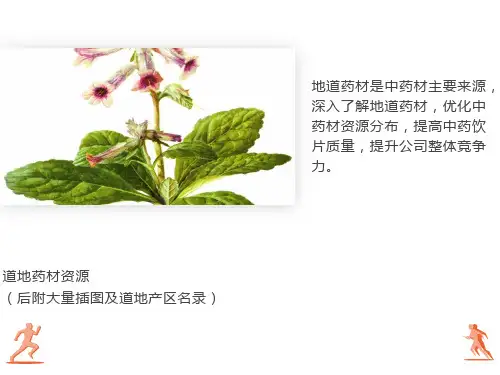 道地药材资源(附插图)