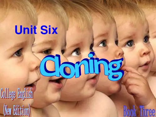 全新版大学英语综合教程第三册课件—Unit 8