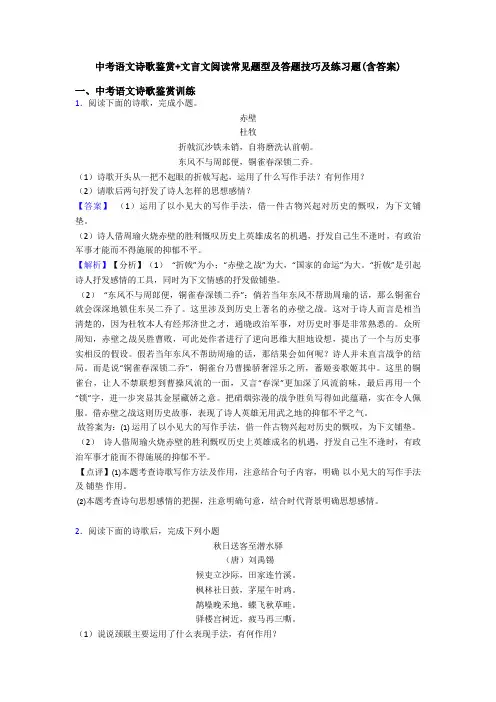 中考语文诗歌鉴赏+文言文阅读常见题型及答题技巧及练习题(含答案) (16)