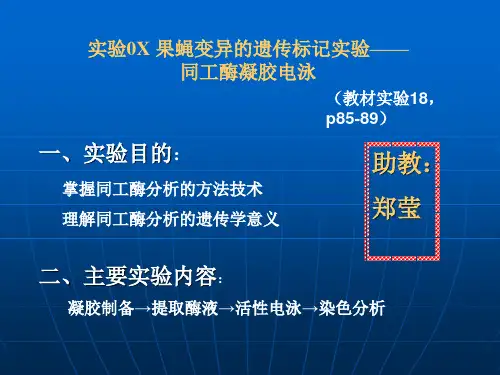 同工酶凝胶电泳