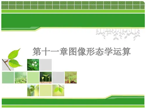 数字图像处理-11第十一章形态学图像