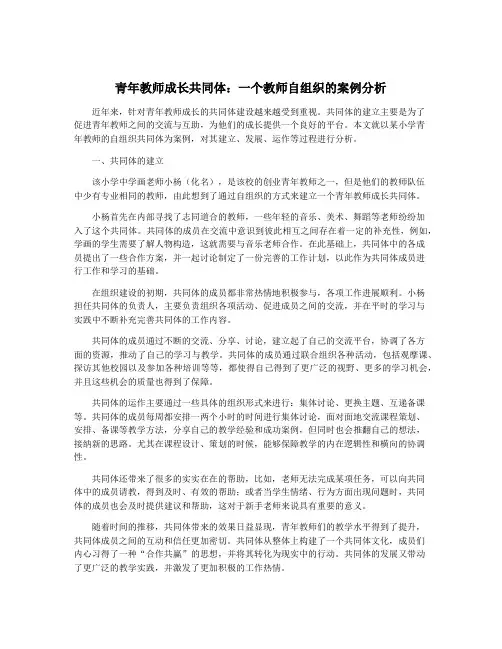 青年教师成长共同体：一个教师自组织的案例分析