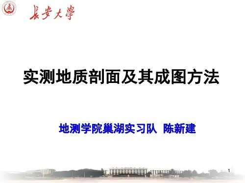 实测地质剖面PPT课件