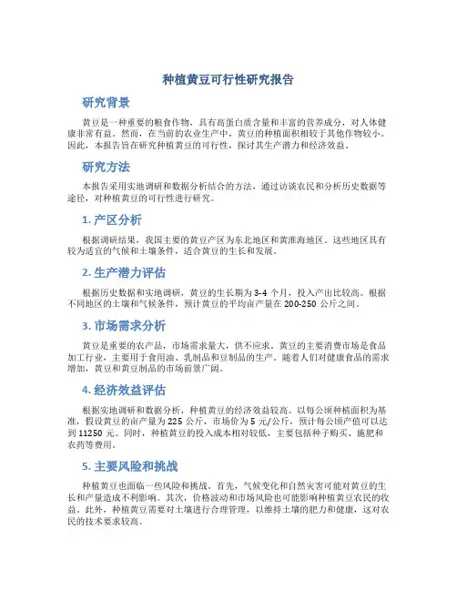 种植黄豆可行性研究报告