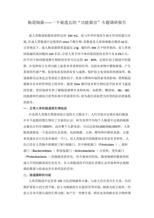 肠道细菌
