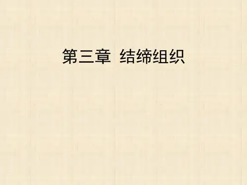 《组织学与胚胎学》第3章-结缔组织