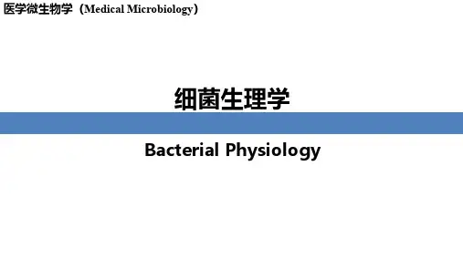 细菌的分类和命名
