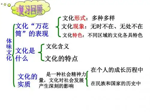 1.2文化与经济、政治(共32张PPT)
