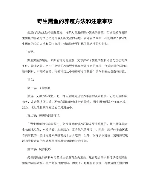 野生黑鱼的养殖方法和注意事项