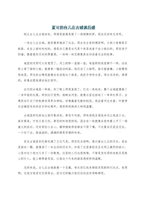 夏可的台儿庄古城读后感