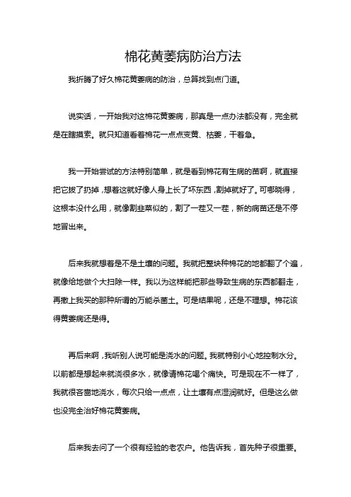 棉花黄萎病防治方法