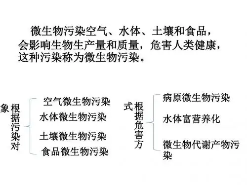 微生物与环境污染