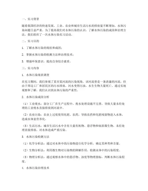 水体污染实习报告
