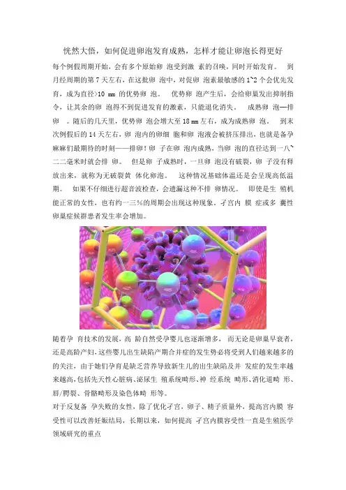 恍然大悟,如何促进卵泡发育成熟,怎样才能让卵泡长得更好