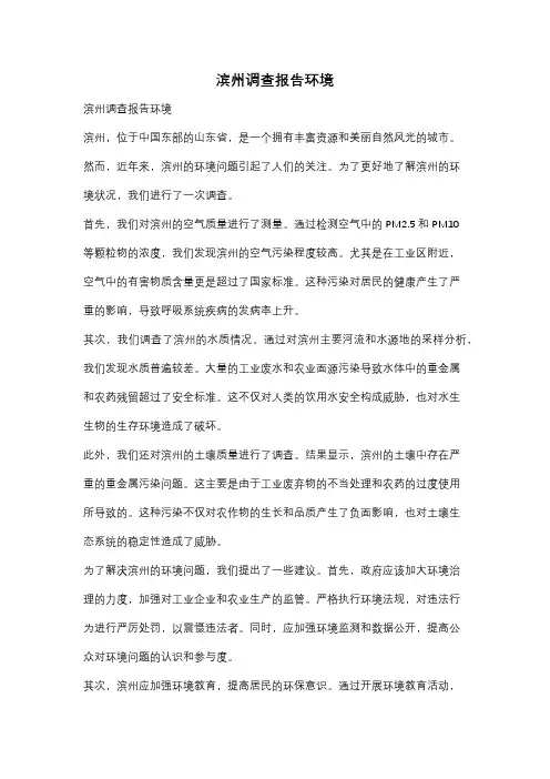 滨州调查报告环境