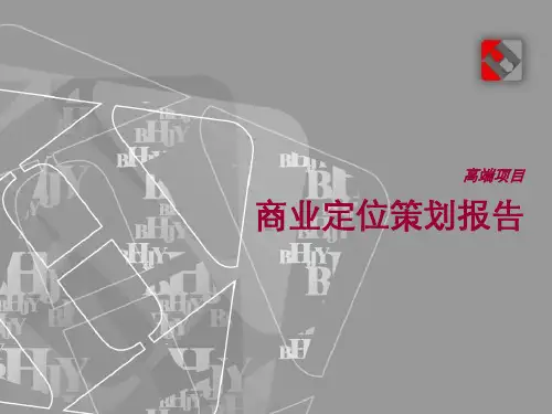 商业定位策划报告