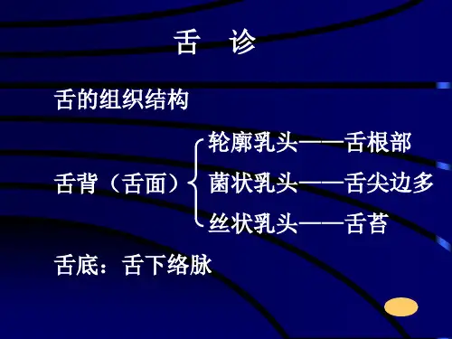 舌的组织结构(ppt14)(1)