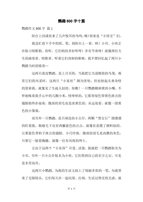 鹦鹉600字十篇