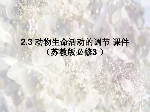 苏教版动物生命活动的调节PPT教学课件_1