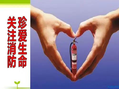 关注消防珍爱生命-PPT课件