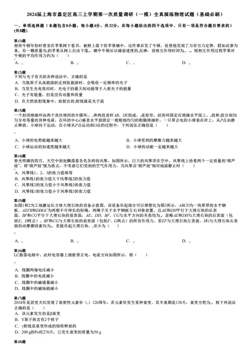 2024届上海市嘉定区高三上学期第一次质量调研(一模)全真演练物理试题(基础必刷)
