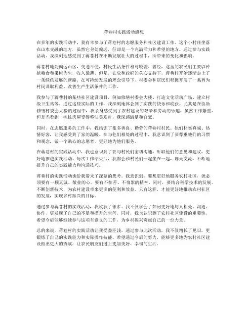 蒋巷村实践活动感想