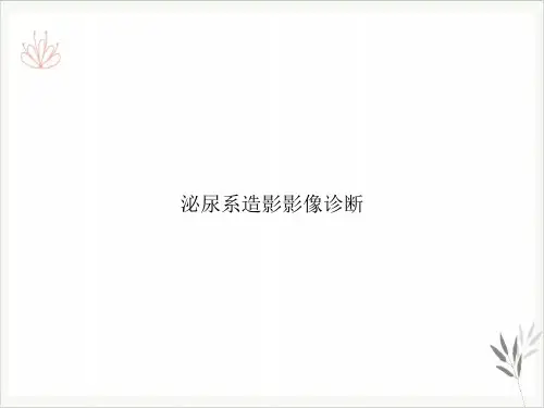 泌尿系造影影像诊断PPT课件