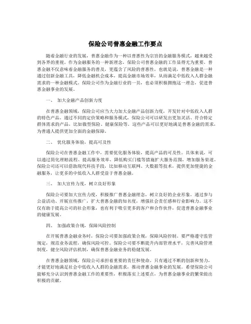 保险公司普惠金融工作要点