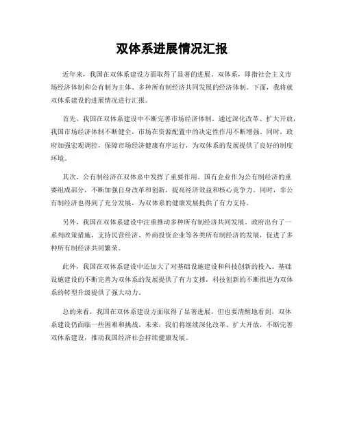 双体系进展情况汇报