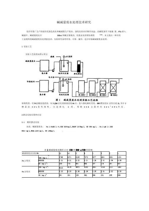 碱减量废水处理技术研究报告