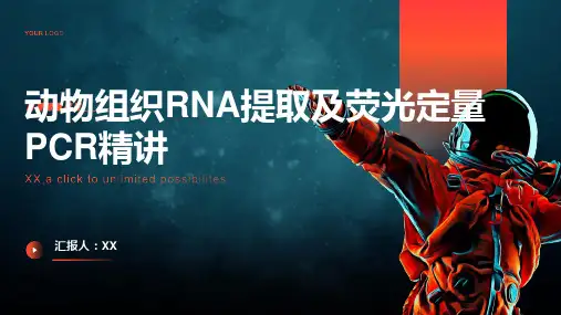 动物组织RNA提取及荧光定量PCR精讲