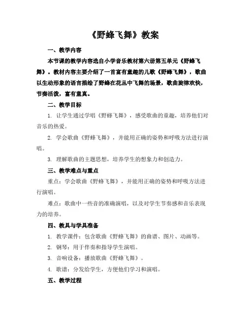 《野蜂飞舞》教案
