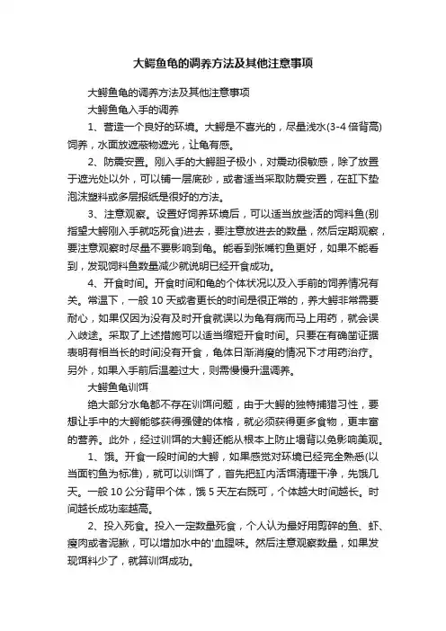 大鳄鱼龟的调养方法及其他注意事项