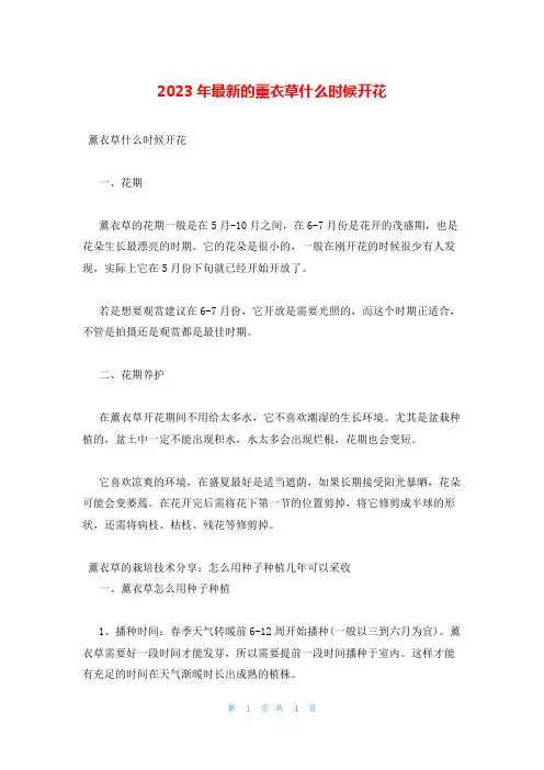 2023年最新的薰衣草什么时候开花