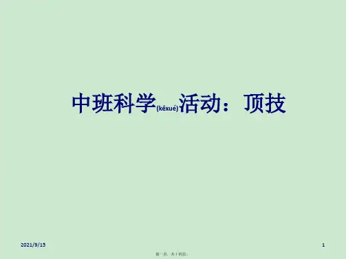 中班科学《顶技》课件