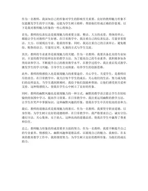 教师魅力形象心得体会