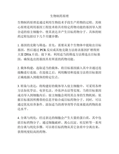 生物制药原理