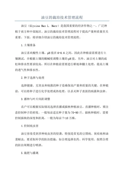 油豆的栽培技术管理流程